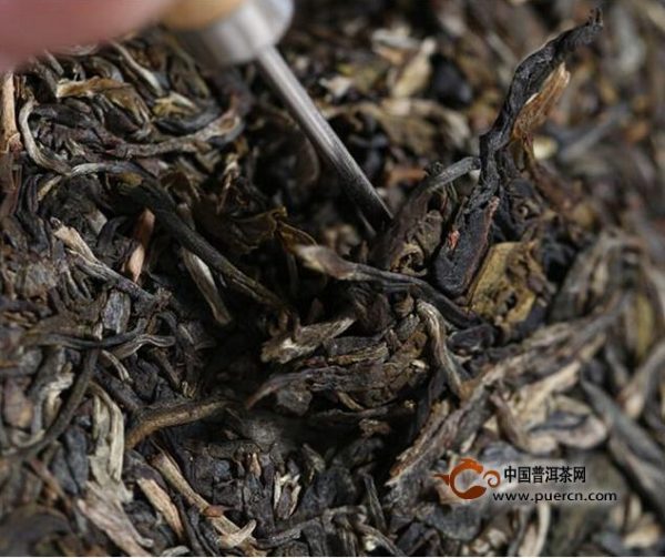 2014《正宗勐海味道》