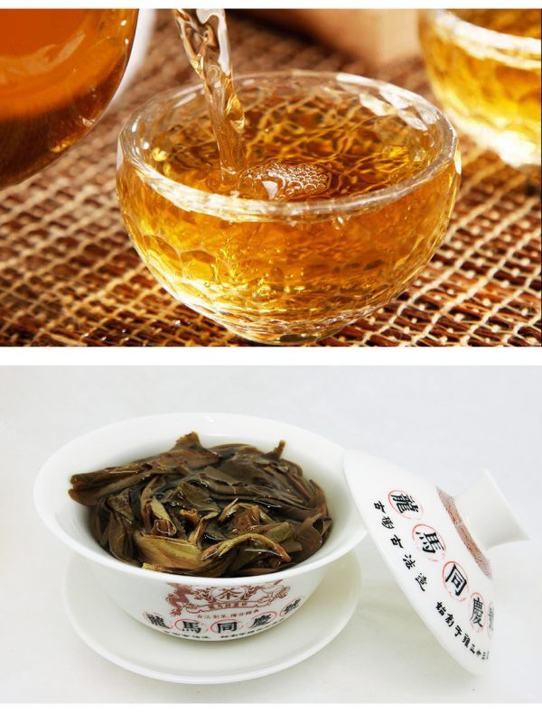 2014《昔歸古樹》