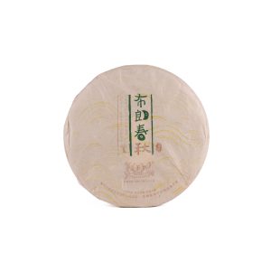 2013布朗春秋