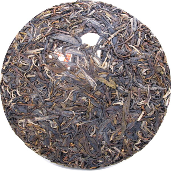 2010《景邁古樹》