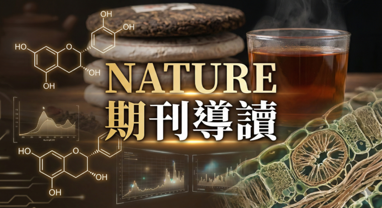 普洱茶 茶褐素如何影響膽固醇？｜Nature Communications 文獻導讀 揭開科學界的「分子密碼」｜茶學筆記 EP01