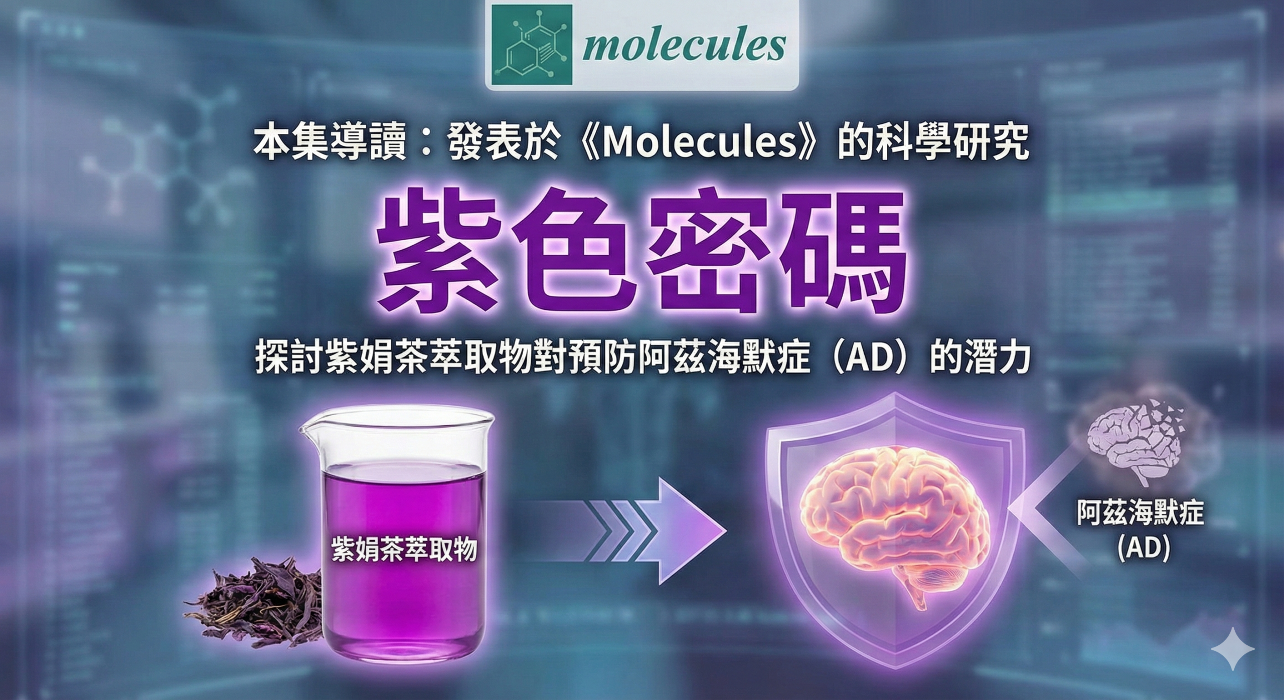 紫芽普洱茶護腦科學：花青素與DAF-16基因調節機制