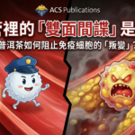 台灣北醫大研究普洱茶預防動脈硬化與泡沫細胞