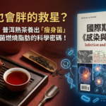 喝水也會胖的救星？科學實證：普洱熟茶養出「瘦身菌」！揭開 AKK 菌燃燒脂肪的科學密碼