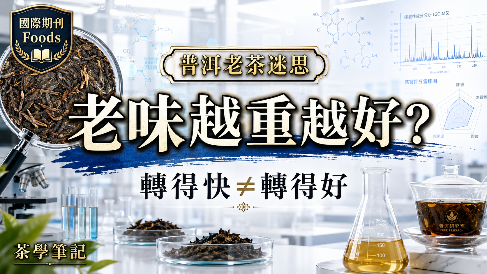 普洱老茶乾倉濕倉與湯感判斷,根據國際期刊研究解析老茶轉化迷思