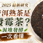 普洱熟茶是發霉茶嗎，2025 最新研究解析渥堆發酵與微生物轉化