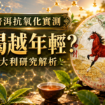 普洱茶抗氧化研究解析，畫面呈現生普茶餅、茶湯與科學實驗元素，說明生普與熟普抗氧化差異。