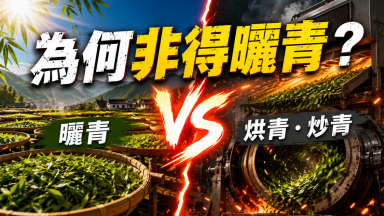 普洱茶曬青、熱風乾燥與滾筒炒乾比較,2026研究顯示日曬組水溶性糖高17.84%
