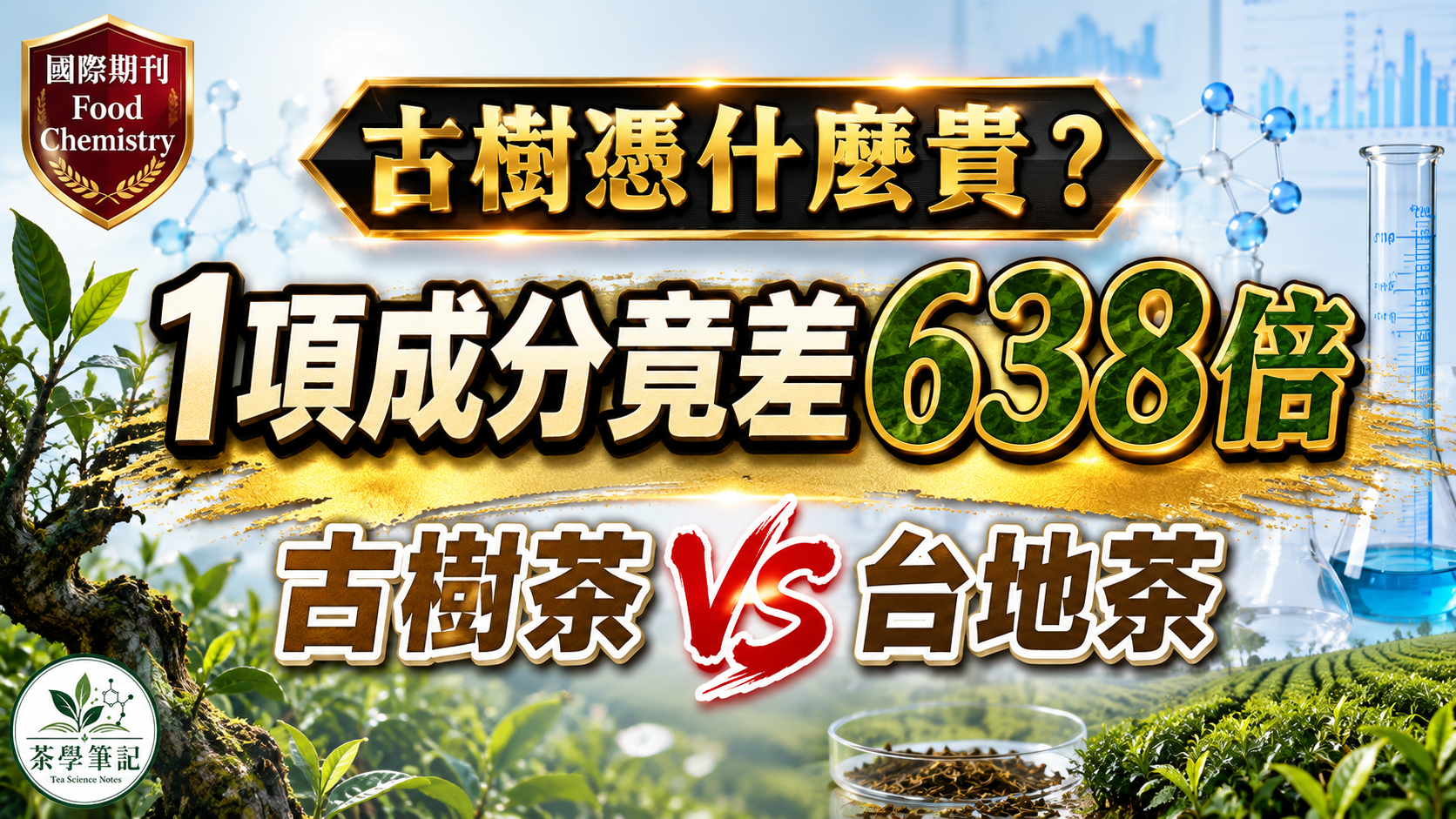 古樹茶與台地茶質譜實測，305種成分中一項成分相差638倍