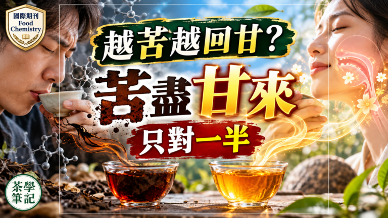 普洱茶為什麼會回甘？2025 Food Chemistry研究茶鹼與蘆丁如何影響普洱生茶回甘